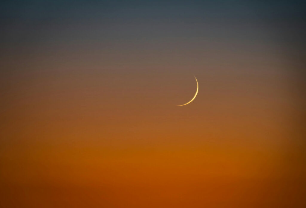 New Moon in Taurus, May 16, 2026: The Wounded Warrior