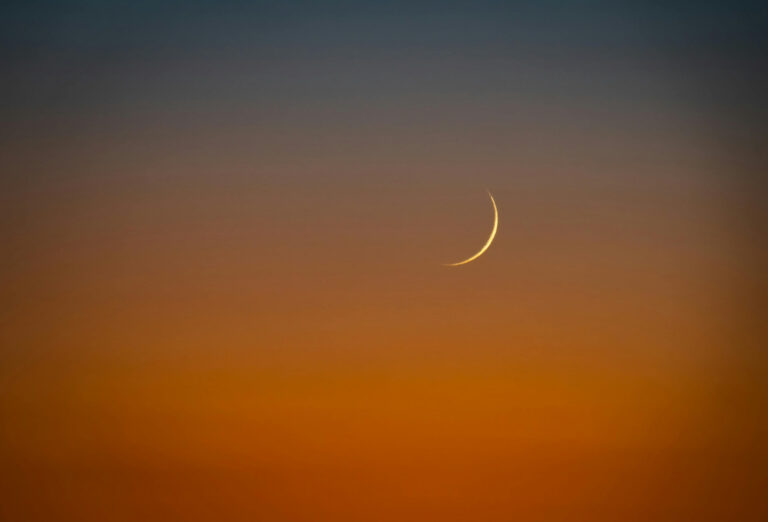 New Moon in Taurus, May 16, 2026: The Wounded Warrior