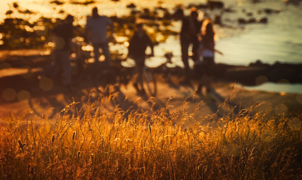 Zodiac Signs, July 2026: the month when nothing will be the same again for anyone